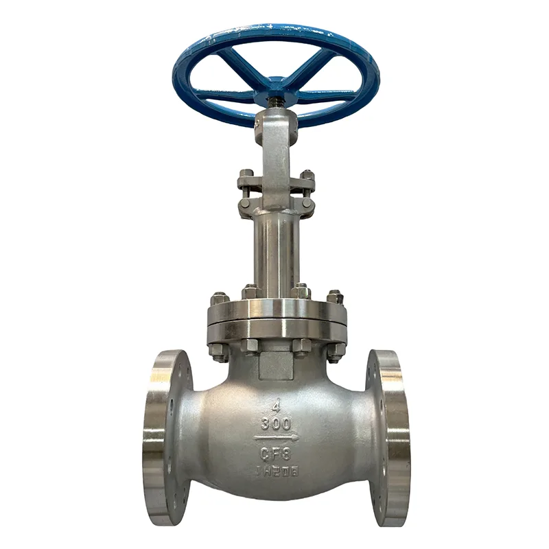 Stainless Steel Flanġ Globe Valve